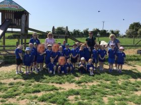 P1 Fun in the sun at Streamvale Farm!