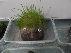 Grass Heads