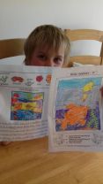 P2 are working  hard on our Topic \'Under the Sea\'.