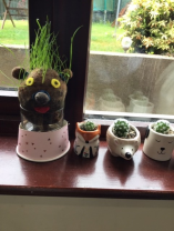 Cool 'Grasshead' 