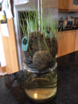 P6K Grasshead