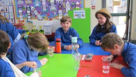 P6 Science Investigations