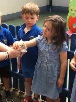 Last days @ nursery (pm class)