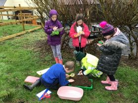 Invertebrate Survey