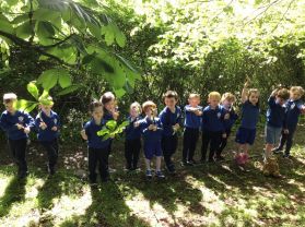 P1 went on a bear hunt