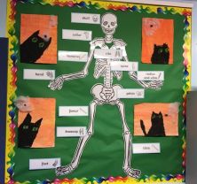 P5 Art displays
