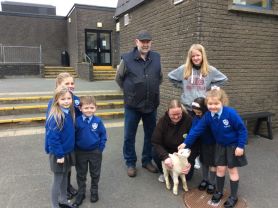 Timmy the lamb visits P2