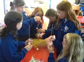 STEM in P5