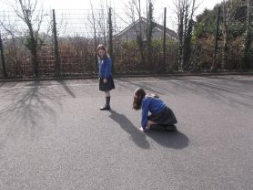 P6 Light investigations