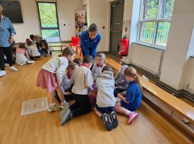P3 shared education day 4