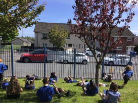 P4M Michelangelo inspired Art.