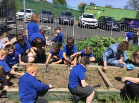 P4M Outdoor Learning.