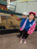 P1 LOVED THEIR TRIP TO STREAMVALE FARM!