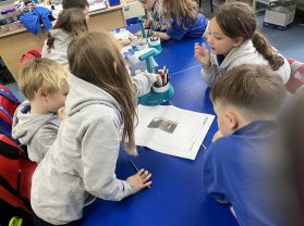 P3R Topic group discussions 