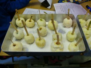 P7F Science Experiment